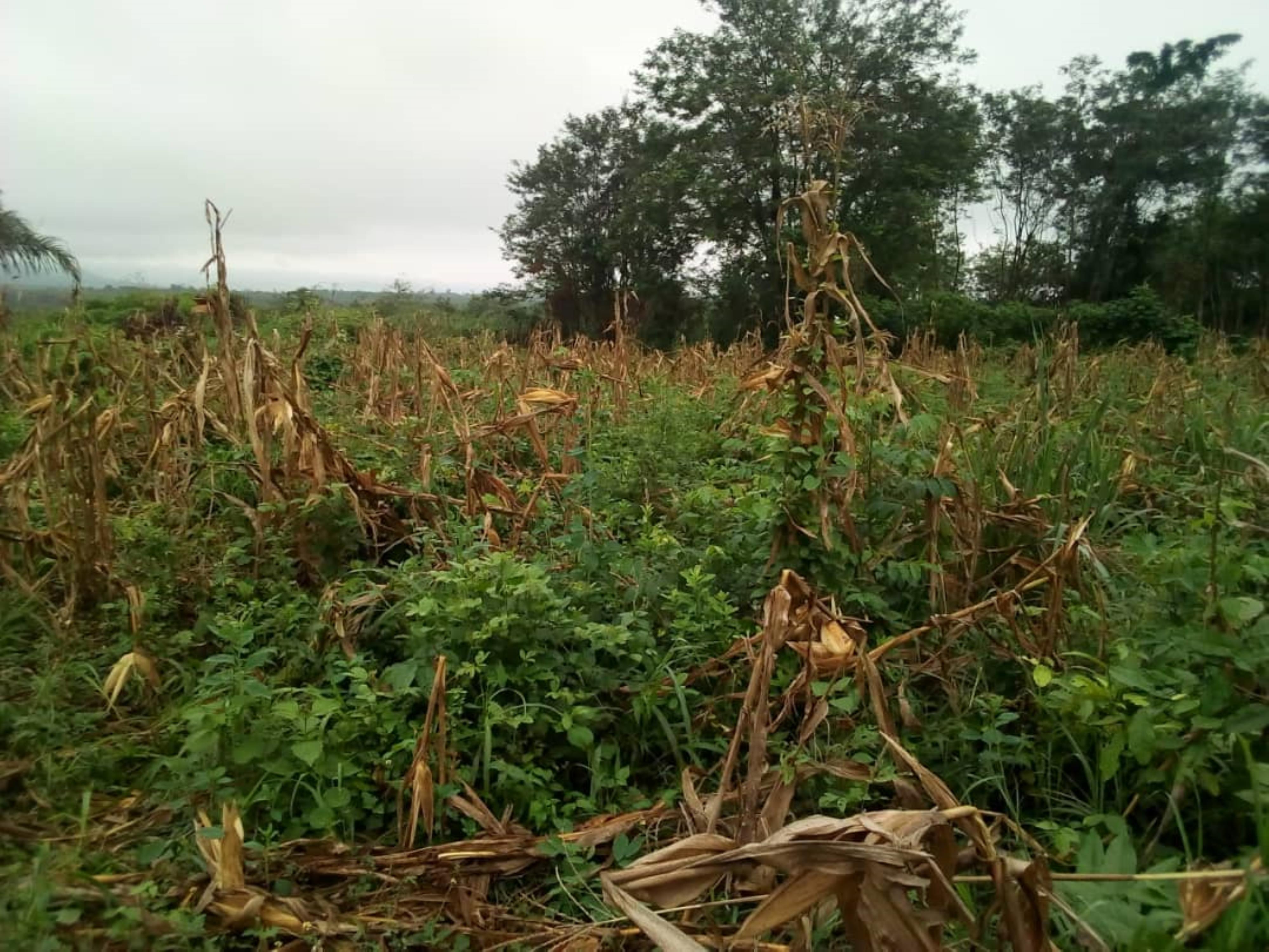 20 plots Land - For Sale, Abri, Accra | Strathium